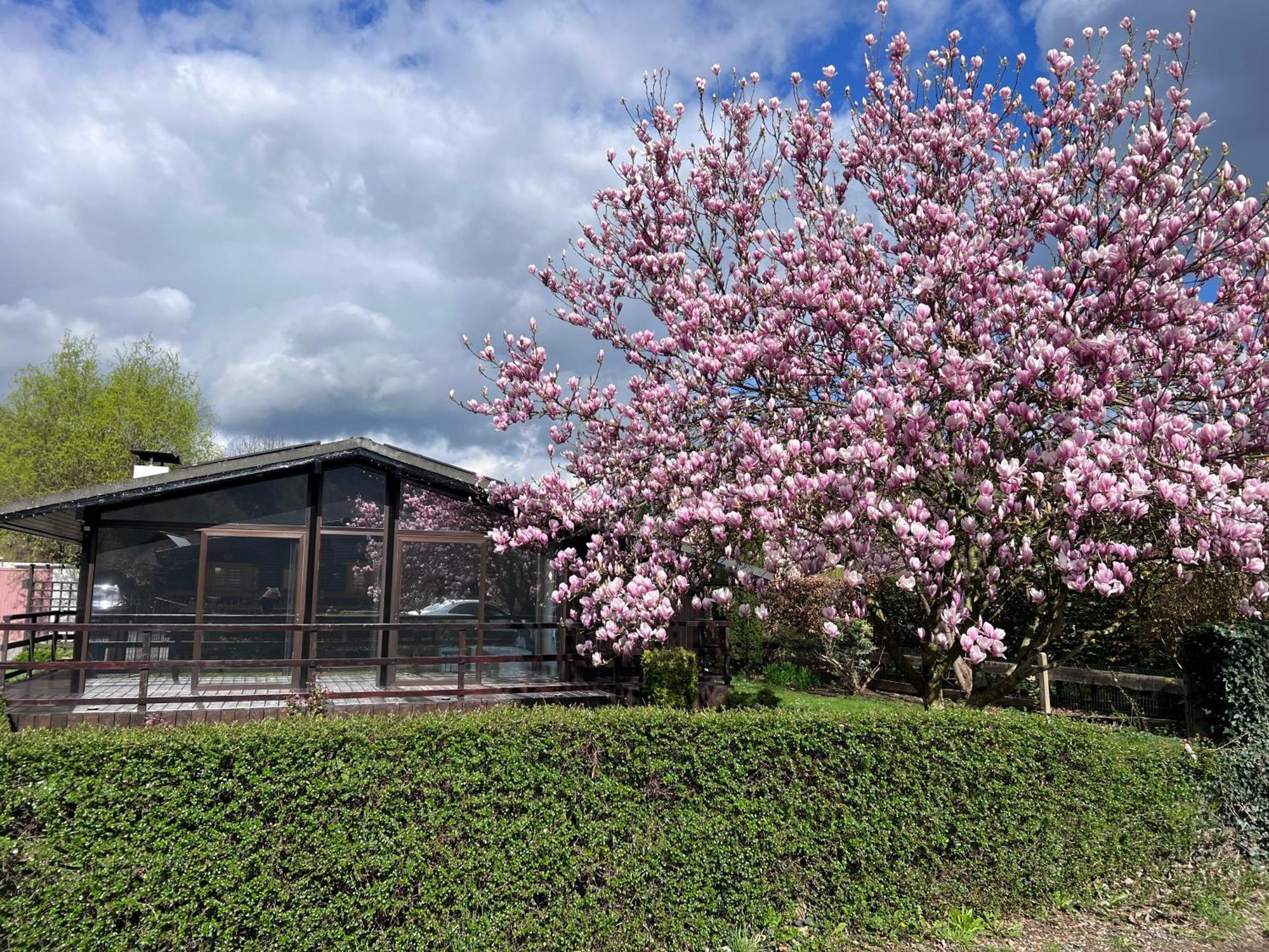 Spacieux Chalet A Aywaille Dış mekan fotoğraf